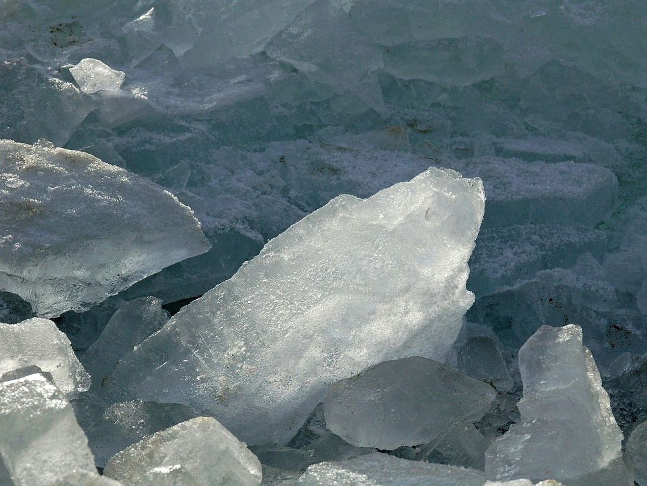 Pasto cubierto de nieve contra un cielo gris de invierno